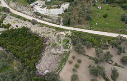 İzmir Karaburun Eğlenhoca'da Satılık Tarla