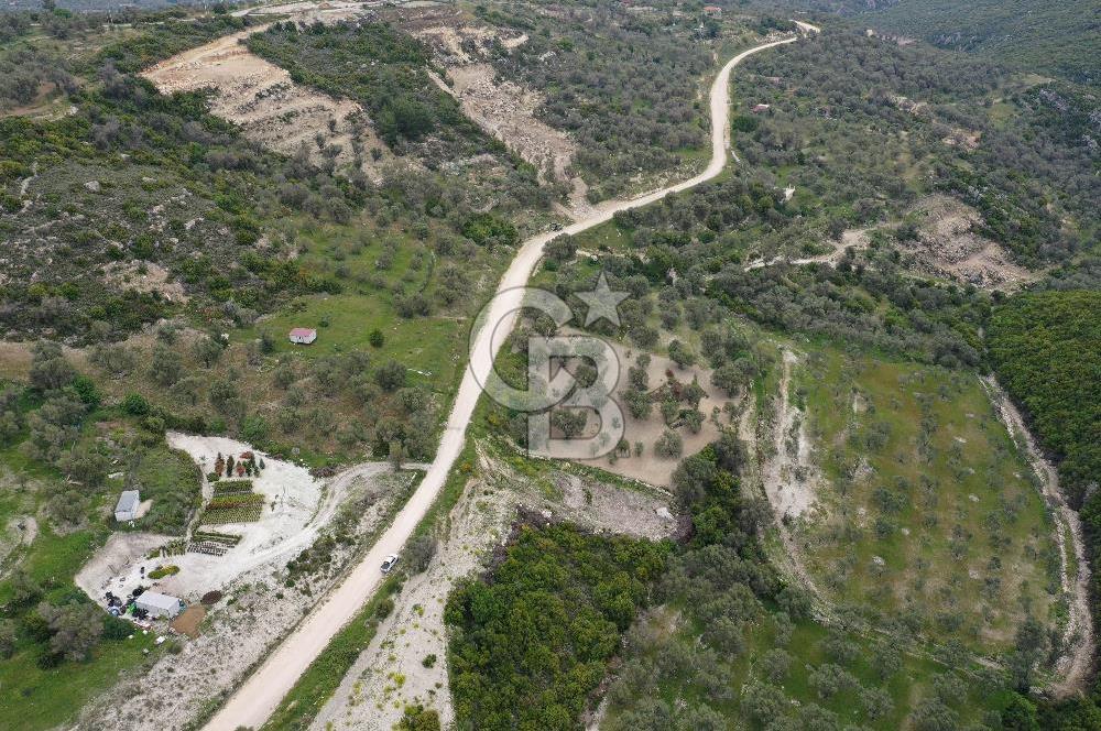 İzmir Karaburun Eğlenhoca'da Satılık Tarla