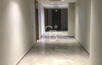 Basınekspres Caddesine Cephe 1000 m2 Satılık Ofis Katı