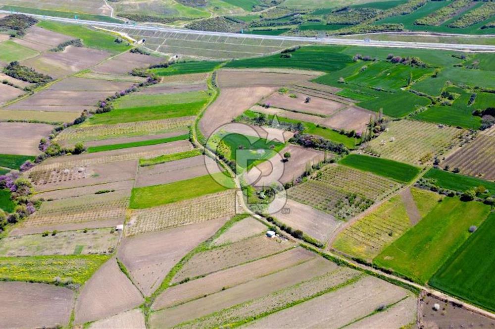 ÇANAKKALE LAPSEKİ SULUCA'DA SATILIK FULL BOĞAZ VE KÖPRÜ MANZARALI 1561 M2 ARAZİ