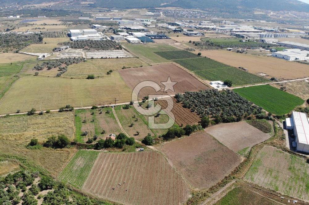 Kemalpaşa AKALANda Yatırımlık Satılık 31.250m² Arazi