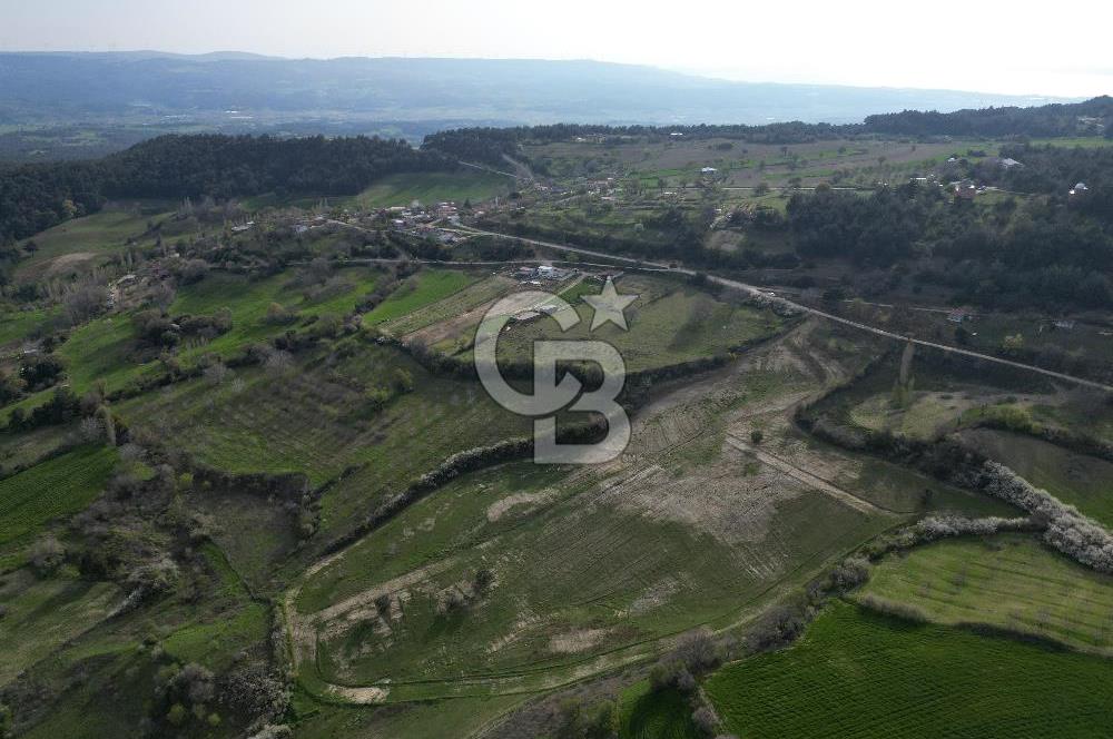 Çanakkale Merkez Ulupınar Köyünde Satılık Parseller !