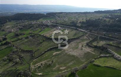 Çanakkale Merkez Ulupınar Köyünde Satılık Parseller !