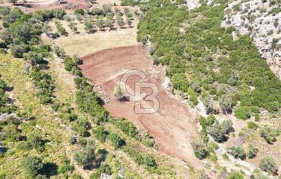 Karaburun Saip'te 4393 m² Yatırımlık Arazi
