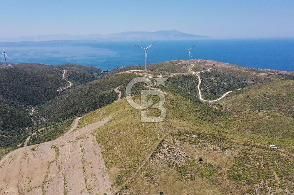 Karaburun Sarpıncık'ta 6.500 m² Tarla