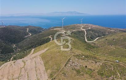 Karaburun Sarpıncık'ta 6.500 m² Tarla