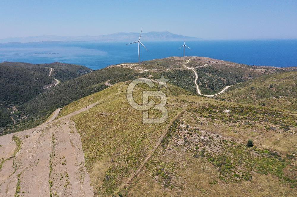 Karaburun Sarpıncık'ta 6.500 m² Tarla