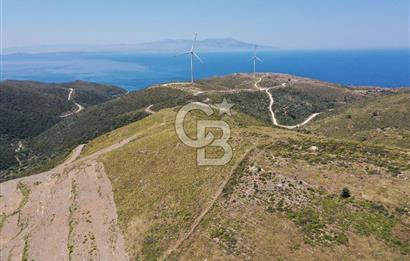 Karaburun Sarpıncık'ta 6.500 m² Tarla