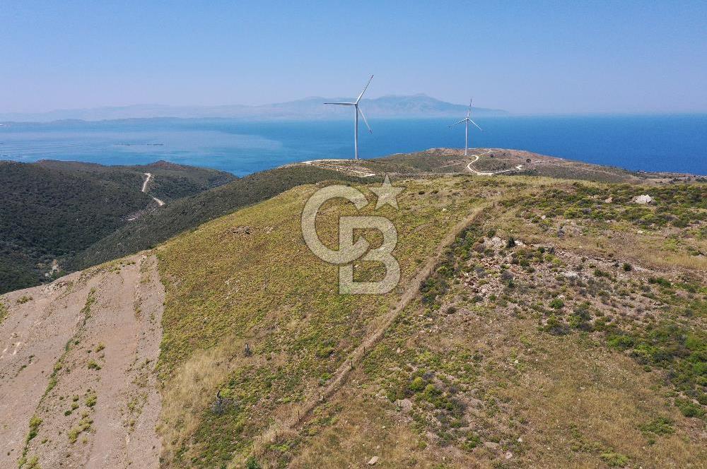 Karaburun Sarpıncık'ta 6.500 m² Tarla