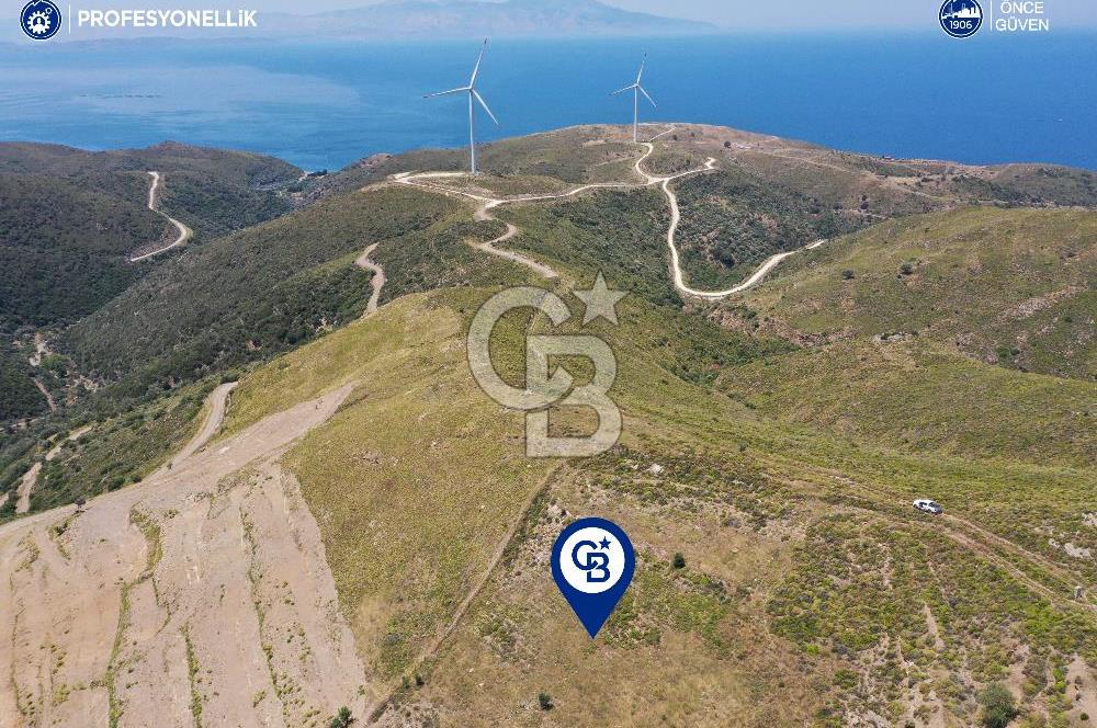 Karaburun Sarpıncık'ta 6.500 m² Tarla