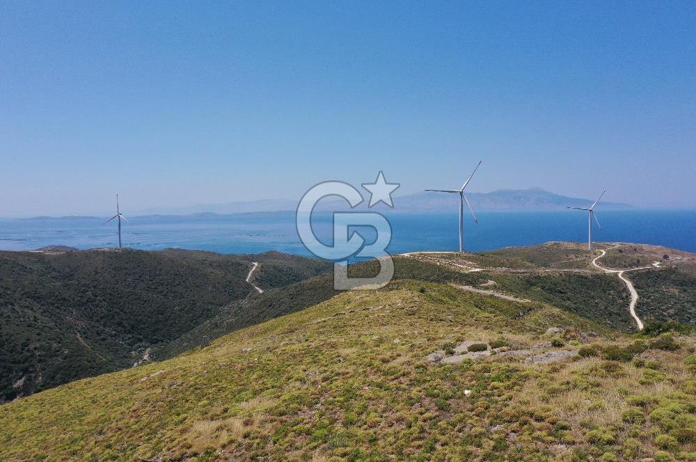 Karaburun Sarpıncık'ta 6.500 m² Tarla