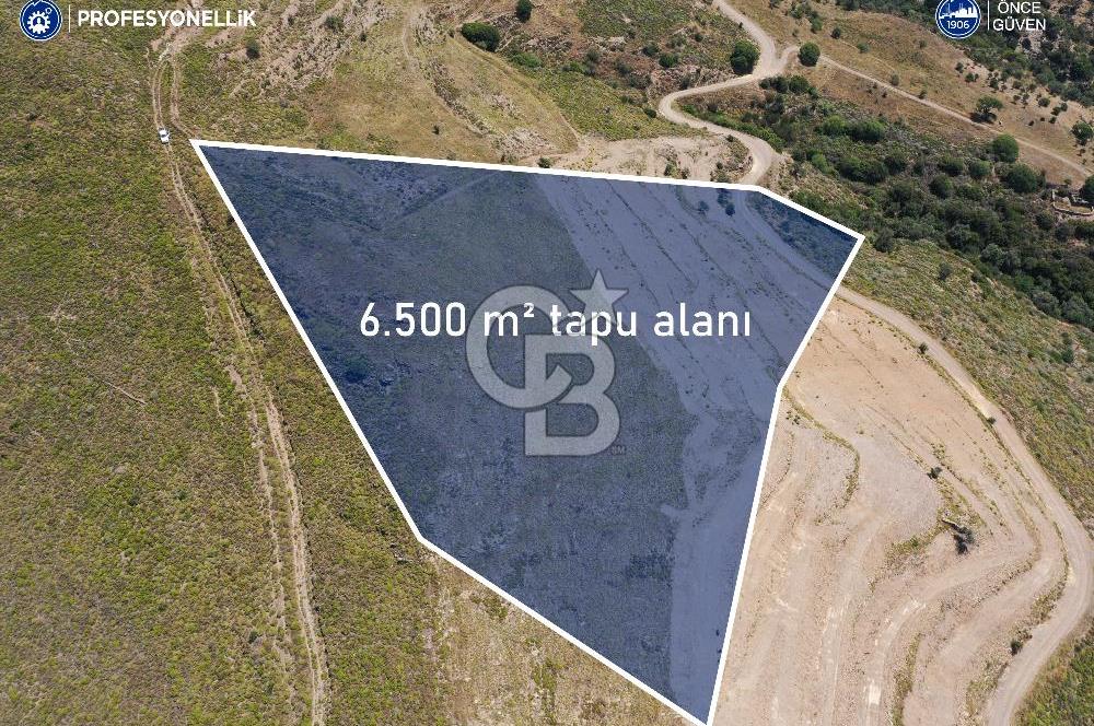 Karaburun Sarpıncık'ta 6.500 m² Tarla