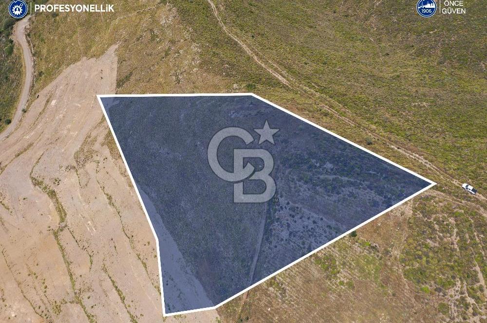 Karaburun Sarpıncık'ta 6.500 m² Tarla