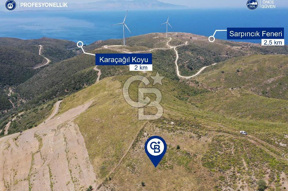 Karaburun Sarpıncık'ta 6.500 m² Tarla