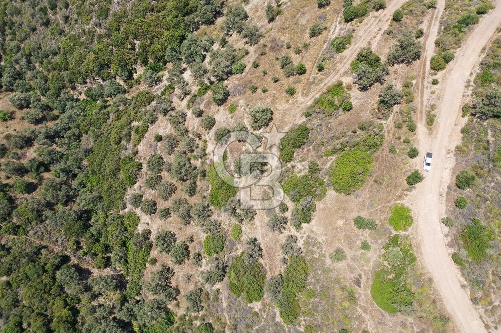 Sarpıncık'ta Deniz Manzaralı Yatırımlık Arazi