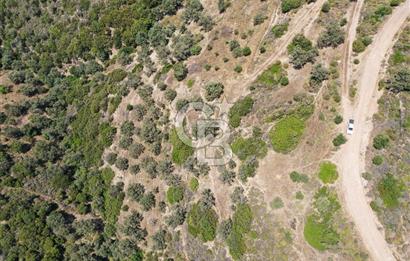 Sarpıncık'ta Deniz Manzaralı Yatırımlık Arazi