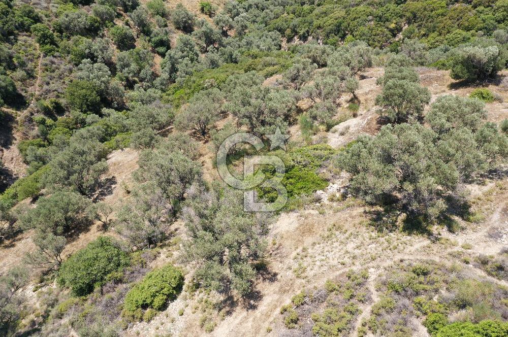 Sarpıncık'ta Deniz Manzaralı Yatırımlık Arazi