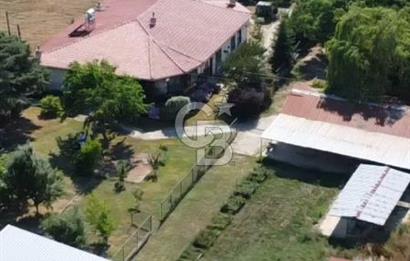 Kırklareli Vize Kışlacık Köyünde 5.221m2 Satılık Çiftlik