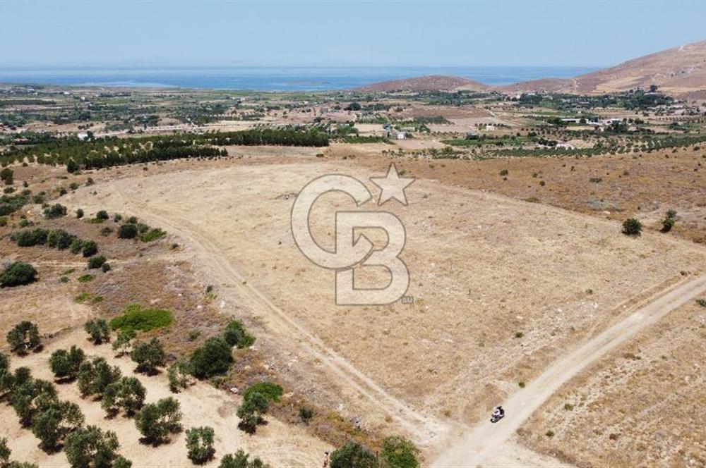 BOZCAADA AYAZMA YOLUNDA ÇİFT CEPHEDEN DENİZ GÖREN TARLA