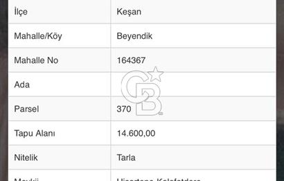 Fırsat Ceviz Bahçesi