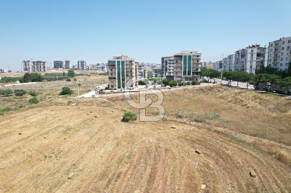 ÇİĞLİ HARMANDALINDA 4650 M2 ARSA