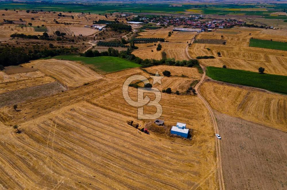 ÇANAKKALE BİGA ÇEŞMEALTI SATILIK ARAZİ ( ACİL FİYAT DÜŞTÜ)