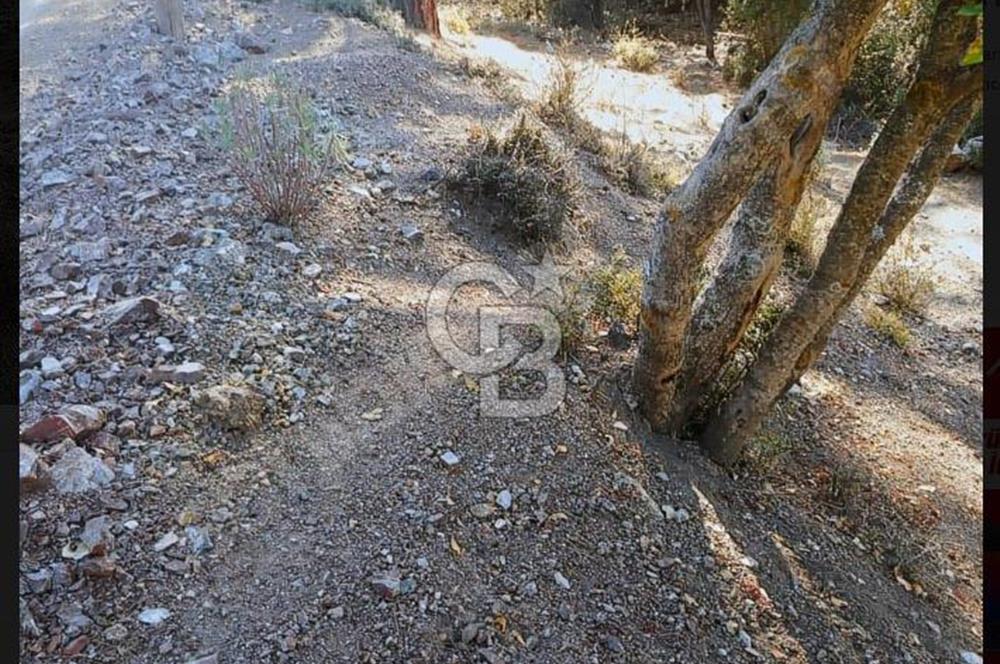 SÖĞÜTCUMA KUZCA MÜSTAKİL PARSEL YOLA CEPHE