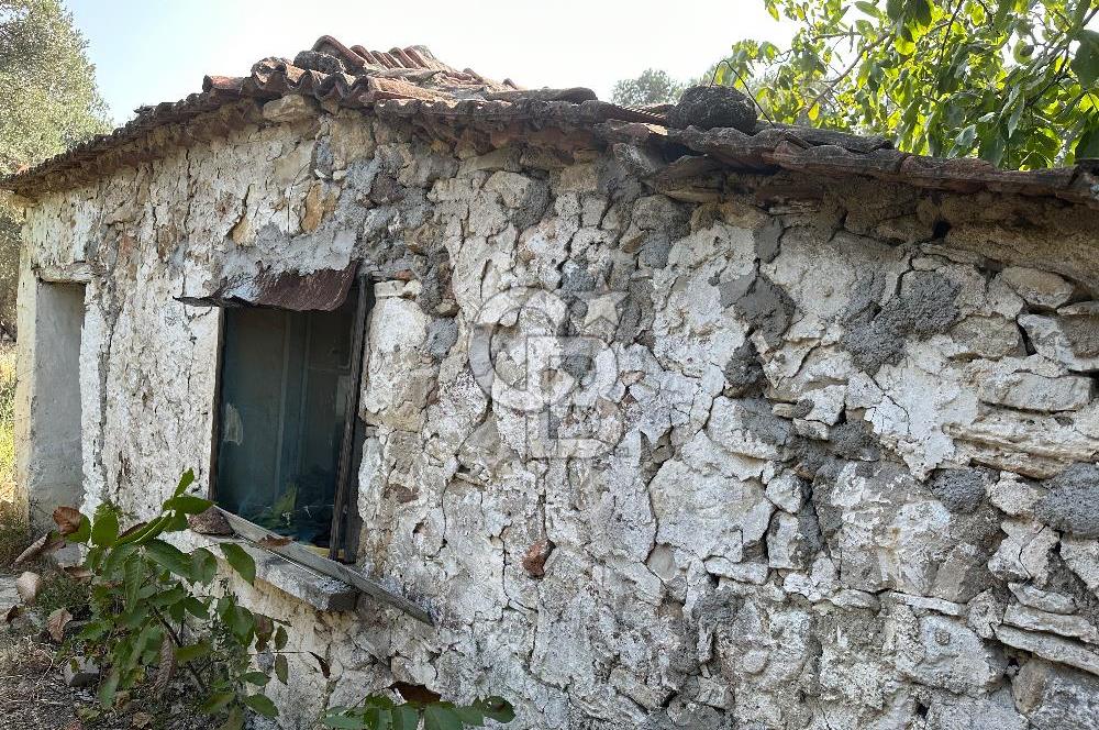 Urla Özbek'te Tiny House Arazisi!!