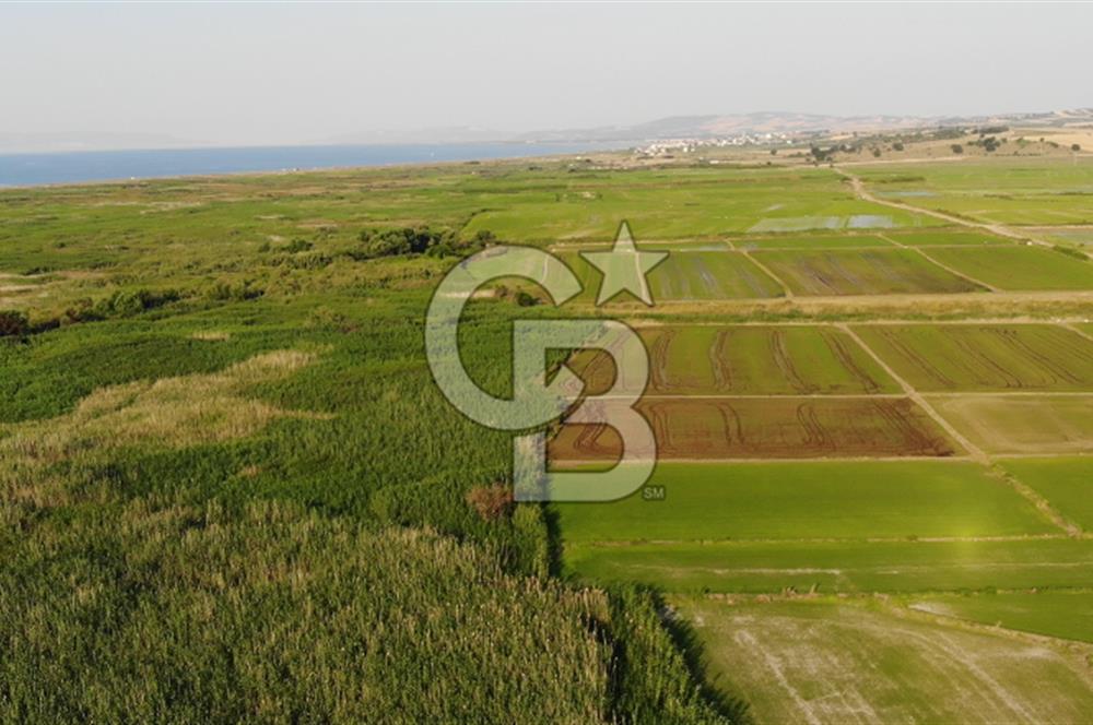 Çanakkale Biga Güvemalan Satılık 11.098 M2 Arazi