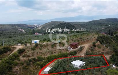 Tirilye'de Satılık 1171 m² Arazide 2 Katlı Müstakil Bahçeli Ev