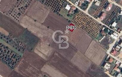 İzmir Torbalı Yazıbaşı Mahallesinde İmarlı 310 m² Satılık Arsa
