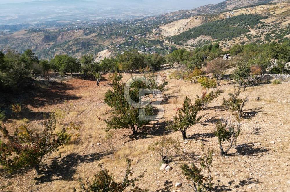 CB'DEN SÜPER MANZARA VE DOĞASI İLE SATILIK BAHÇE