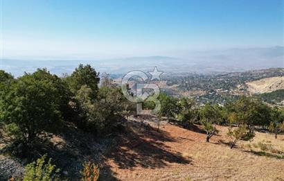 GARDEN FOR SALE WITH SUPER VIEW AND NATURE FROM COLDWELL BANKER