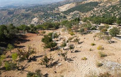 GARDEN FOR SALE WITH SUPER VIEW AND NATURE FROM COLDWELL BANKER