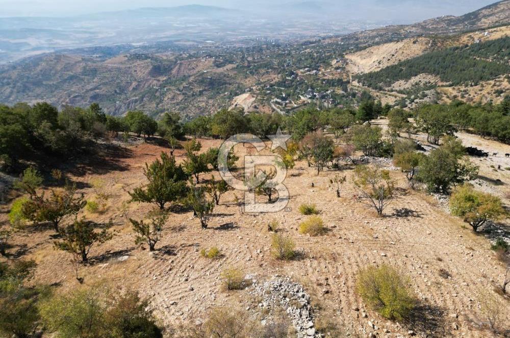 CB'DEN SÜPER MANZARA VE DOĞASI İLE SATILIK BAHÇE