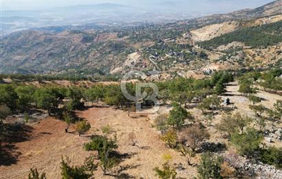 CB'DEN SÜPER MANZARA VE DOĞASI İLE SATILIK BAHÇE