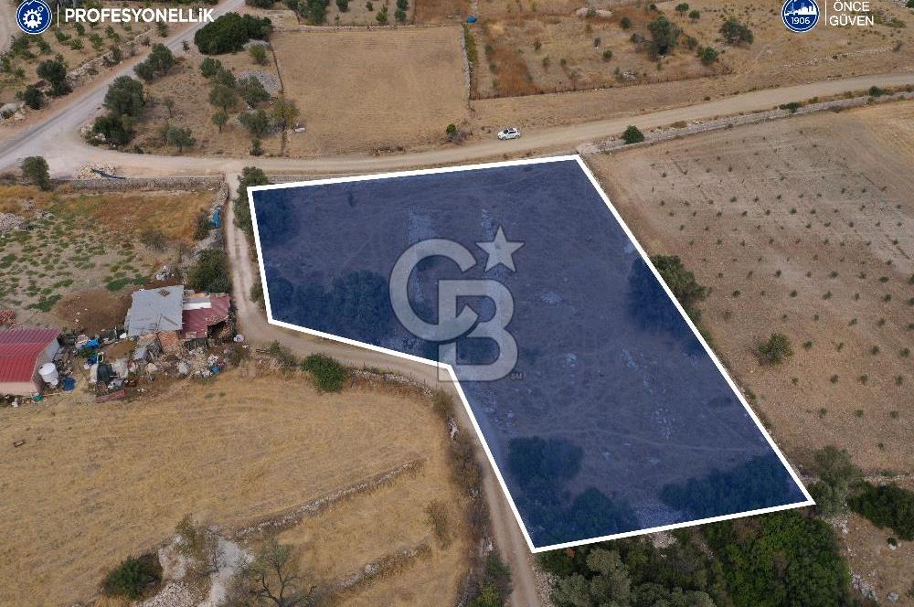 Karaburun Eğlenhoca'da Yatırımlık 3470 m² Arazi