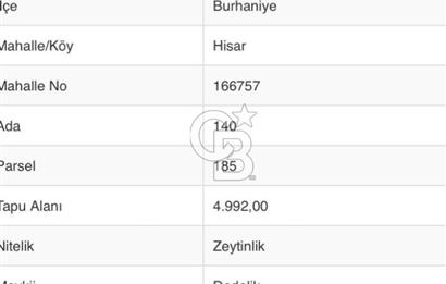 Burhaniye Hisar'da Satılık 4992 m2 Zeytinlik