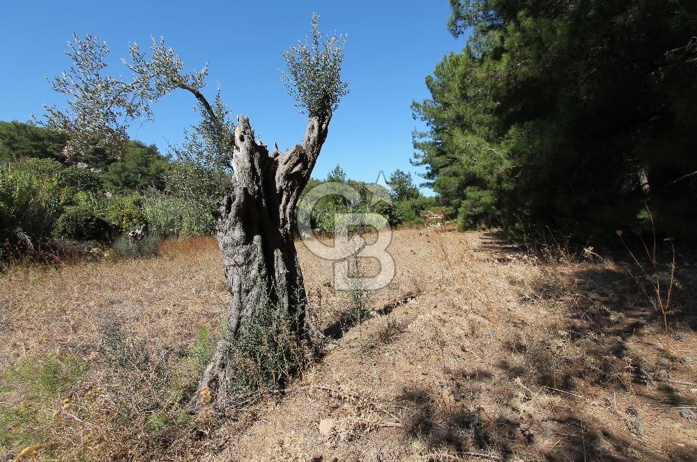 URLA ‘DA SATILIK PROJE ARAZİSİ – KEKLİKTEPE VE KALABAK’IN BULUŞMASI