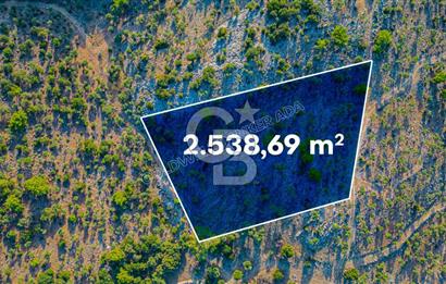 Bafa Gölü Kıyısında Satılık 2.538 m2 Zeytinlik 