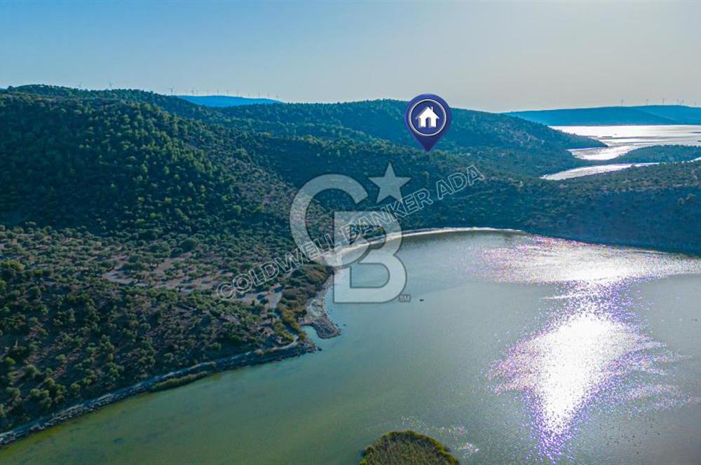 Bafa Gölü Kıyısında Satılık 2.538 m2 Zeytinlik 