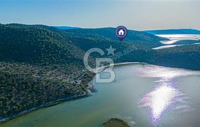 Bafa Gölü Kıyısında Satılık 2.538 m2 Zeytinlik 