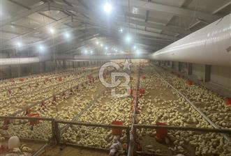 Çankırı Akören'de Satılık Tavuk Çiftliği