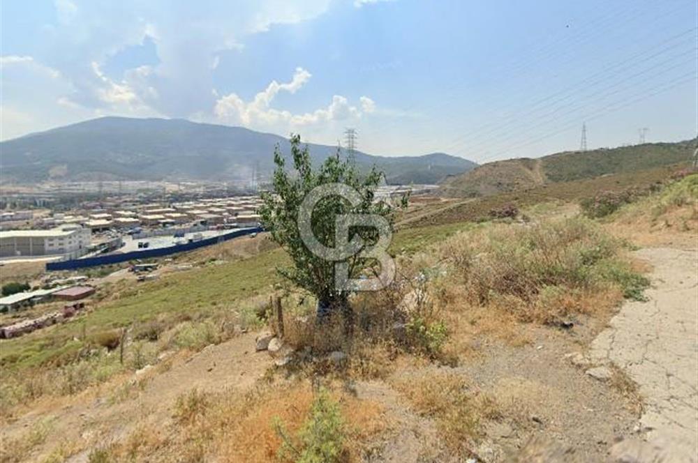 Bornova Işıklar Mah. İmarın Bitişiğinde Yatırıma Uygun Satılık 2890 m2 Arazi