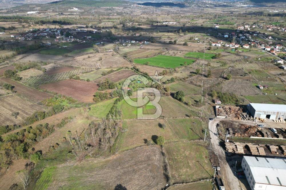 ÇANAKKALE ÇAN TERZİALAN'DA SATILIK TARLA