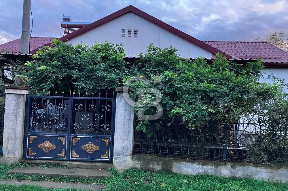 Düzce Hacı Süleymanbey Köyü Meyve Bahçesi Müstakil Kiralık Ev
