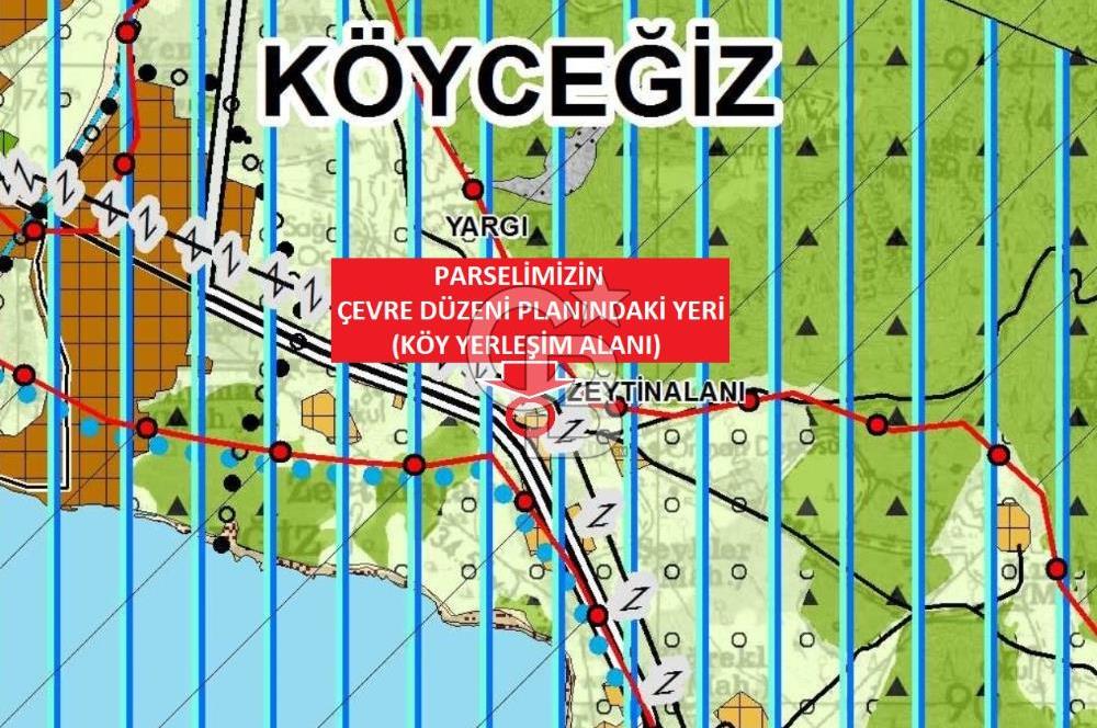 MUĞLA KÖYCEĞİZ YANGI’DA ANAYOL ÜZERİNDE 8448 M2 SATILIK ARAZİ