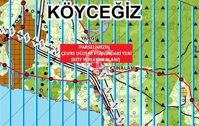 MUĞLA KÖYCEĞİZ YANGI’DA ANAYOL ÜZERİNDE 8448 M2 SATILIK ARAZİ