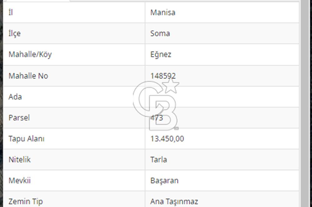 *SOMA EĞNEZ BAŞARAN MEVKİSİNDE, HAZIR KULÜBESİYLE, ZEYTİNLİK*