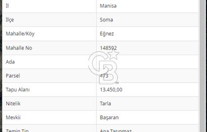 *SOMA EĞNEZ BAŞARAN MEVKİSİNDE, HAZIR KULÜBESİYLE, ZEYTİNLİK*